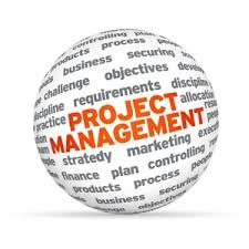 Training on Introduction to Project Management